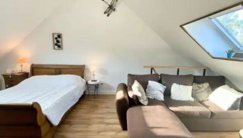 Les Anatidés, Quend - Foto 5