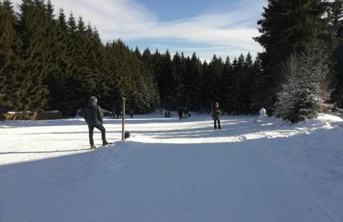 Haus Linde Frauenwald am Rennsteig - Foto 31