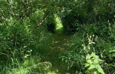 Large converted barn in peaceful, rural location - Foto 57