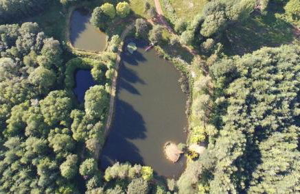 Ancienne Auberge des Brizards - Morvan (14 personnes) - Foto 43