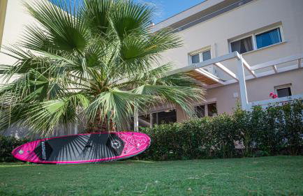 Coconut Blue - Photo 48