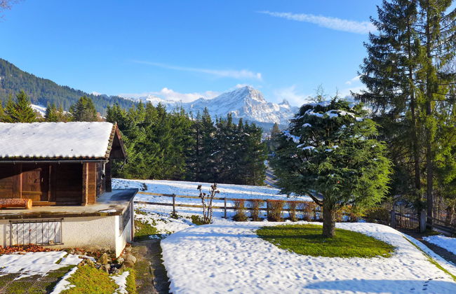 Marmousets 2 - Photo 20