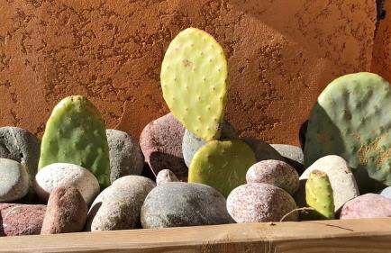 CORSE - Lumio, Balagne petite maison loft, vue imprenable sur le Golfe de Calvi - Foto 17