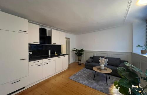 Altbau Charme in der Nürnberger Innenstadt - Foto 6