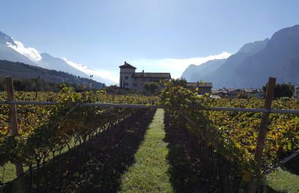 Residence La Colombera - Foto 40