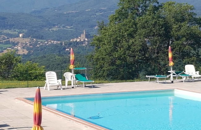 Fattoria di Belvedere - Photo 35