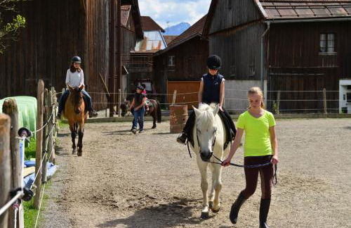 Ponyhof Schöllang - Foto 18