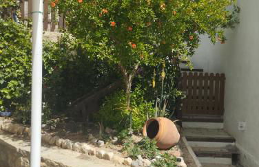 Alojamiento rural casa cueva abuelo Miguel - Foto 10