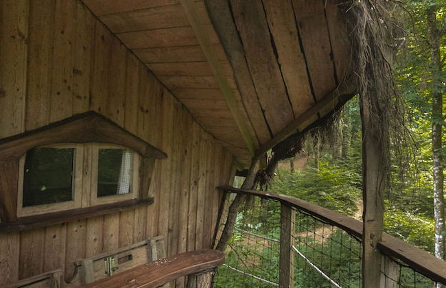 L'Arbre à Cabane - Foto 45