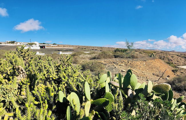 Apartment Alegranza in the Beautiful Village of Mozaga, Lanzarote - Foto 32