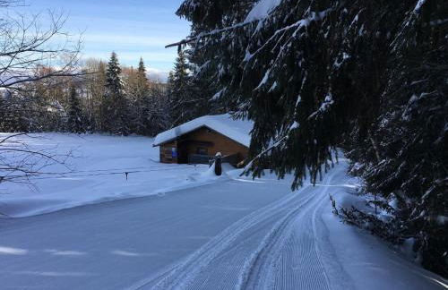 Haus an der Bergwiese - Foto 11