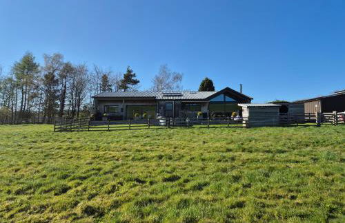 Viewpoint Lodge - Foto 24