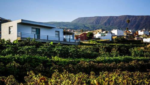 Finca Marañuela - Foto 5