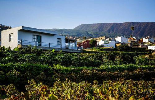 Finca Marañuela - Foto 5