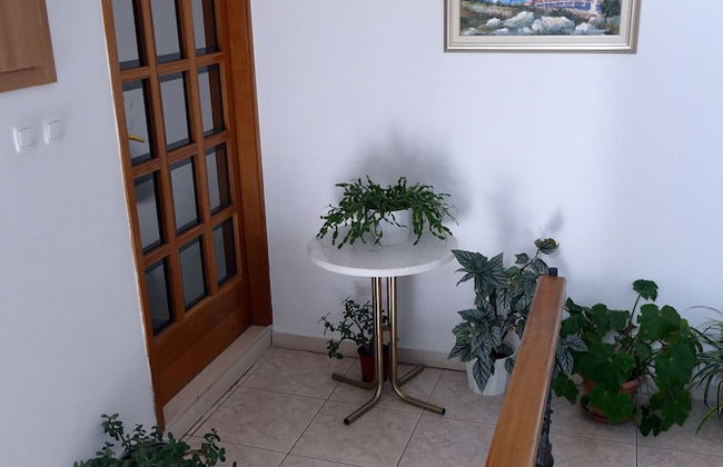 Apartments Martinovic - Photo 42