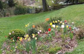 Haus am Sonnenhang - Foto 15