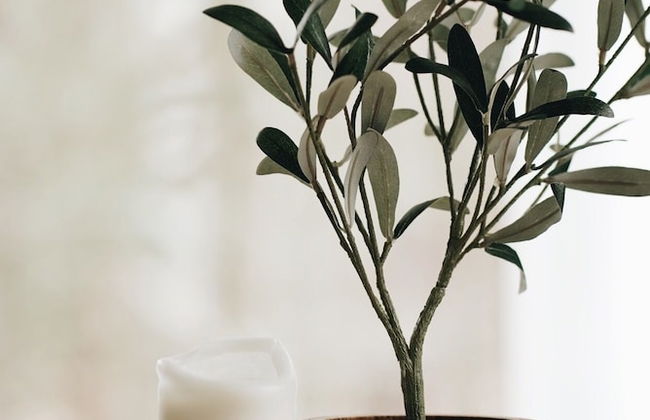 The 212 Escape - Foto 38