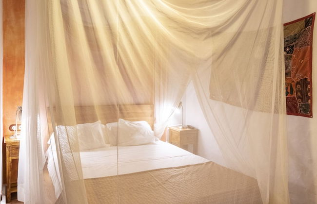 Paraiso Perdido - Foto 27