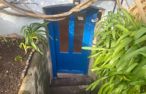 Cosy Garden Flat with work space near Clifton - Foto 28