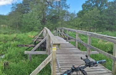 Sielanka Wydmy i Las - Foto 68