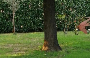 B&B Marana 14 Casa di Campagna - Foto 56