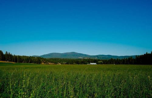 Luxe Nordic Barndominium Retreat at Black Pine - Foto 19