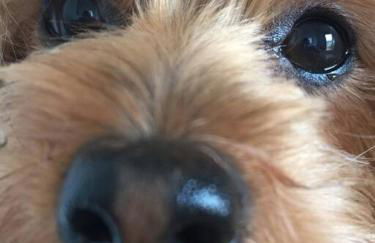 Estudio nuevo! Al lado del metro L1 L4 L5 - Foto 36