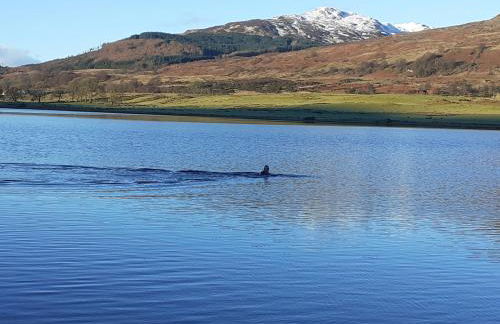 Annfield House, Callander - Foto 35