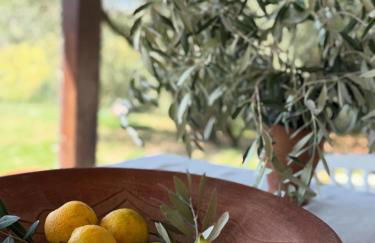 Casa Petritoli - Foto 8