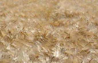 Casa Francesconi - Foto 4