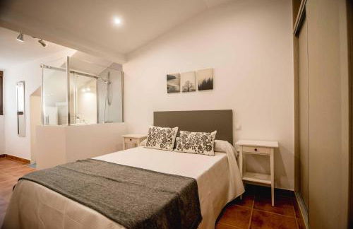 Apartamentos AL PASO DE TOLEDO, Puy du Fou a 10km - Photo 16