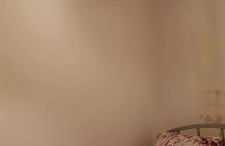 Small Paradise - Foto 13