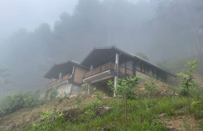 MOMO ELLA - Photo 21