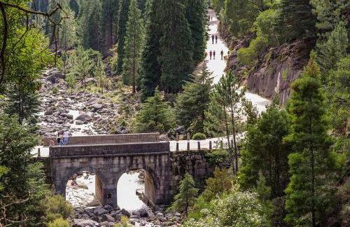 Refúgio do Vidoeiro - Foto 14