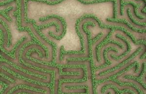 Adiva Praia Miño - Foto 33