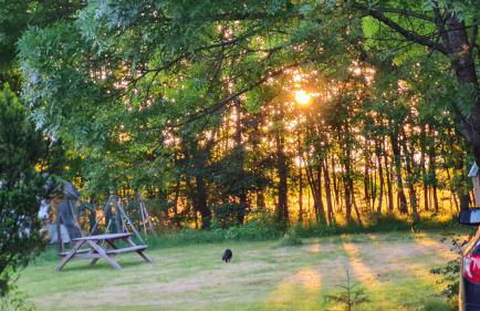 Ferienwohnung Ollywood, Natur pur im Westerwald, 2 bis 4 Personen - Foto 27