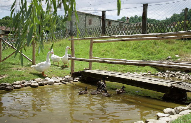 Apartment in Todi With Pool and Garden - Photo 16