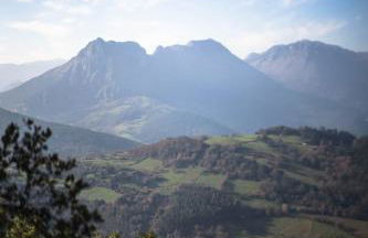 Apartamento Gibaja - Foto 47