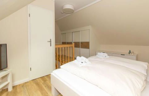 Nachtkerze - Foto 11