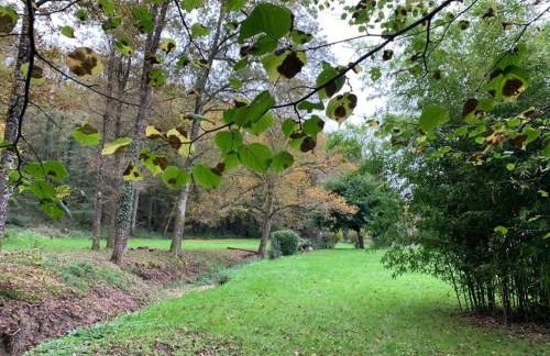 Altanka, Maison, calme au milieu de la nature près de Beauval, Chenonceau et autres chateaux de la Loire - Foto 43