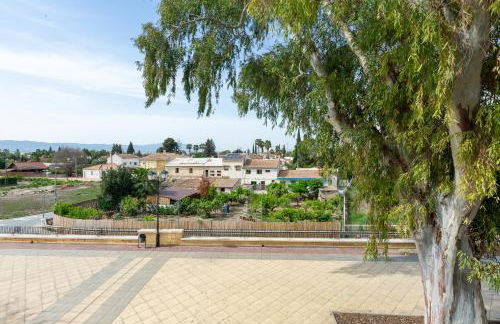 La Casita del Malecón - Foto 12