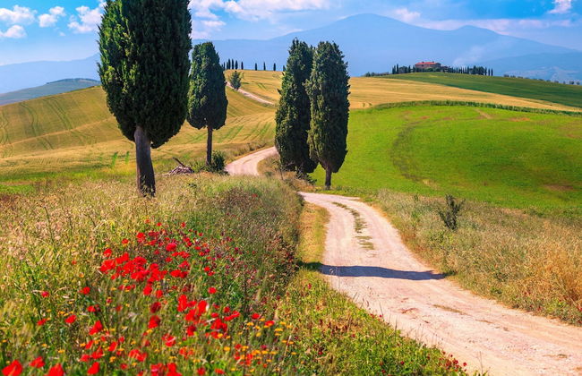 Home Rose Montepulciano Route - Foto 22