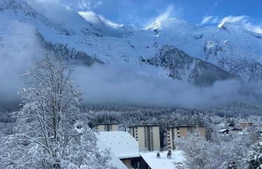 Appartement Chamonix - Photo 10