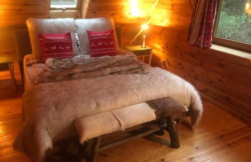 Deluxe Holiday Zdrojowa -Willa typu Alpejskiego w Borach Tucholskich-Całoroczna Balia z jacuzzi-Prywatny las i strumyk -Duża Wiata grillowa - Foto 33