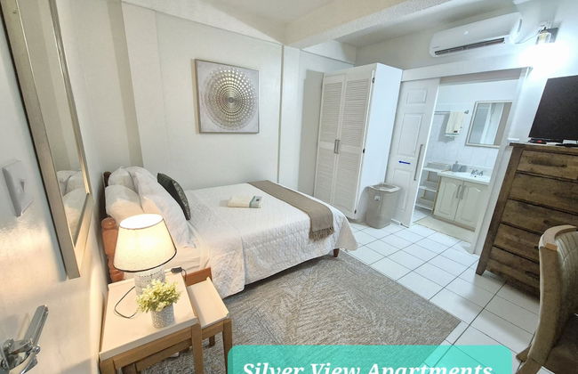 Silver View Apartments - Foto 2