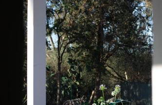 Appartamento Camisa - Il Fico - Foto 67