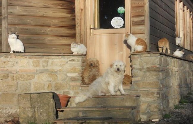 Fattoria Lischeto - Foto 26