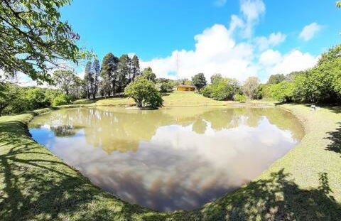 Natureza, paz no sítio - Foto 29