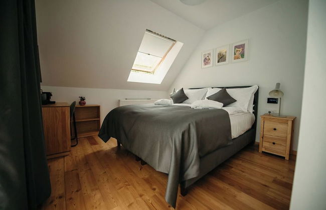 PurpleVague - Photo 1