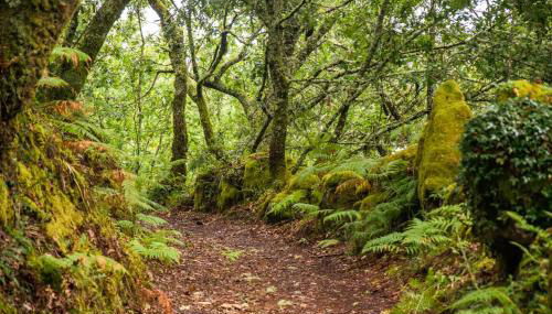 Casa de Fora - Foto 2